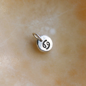 Zodiac Charm Necklace