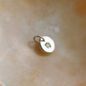 Zodiac Charm Necklace